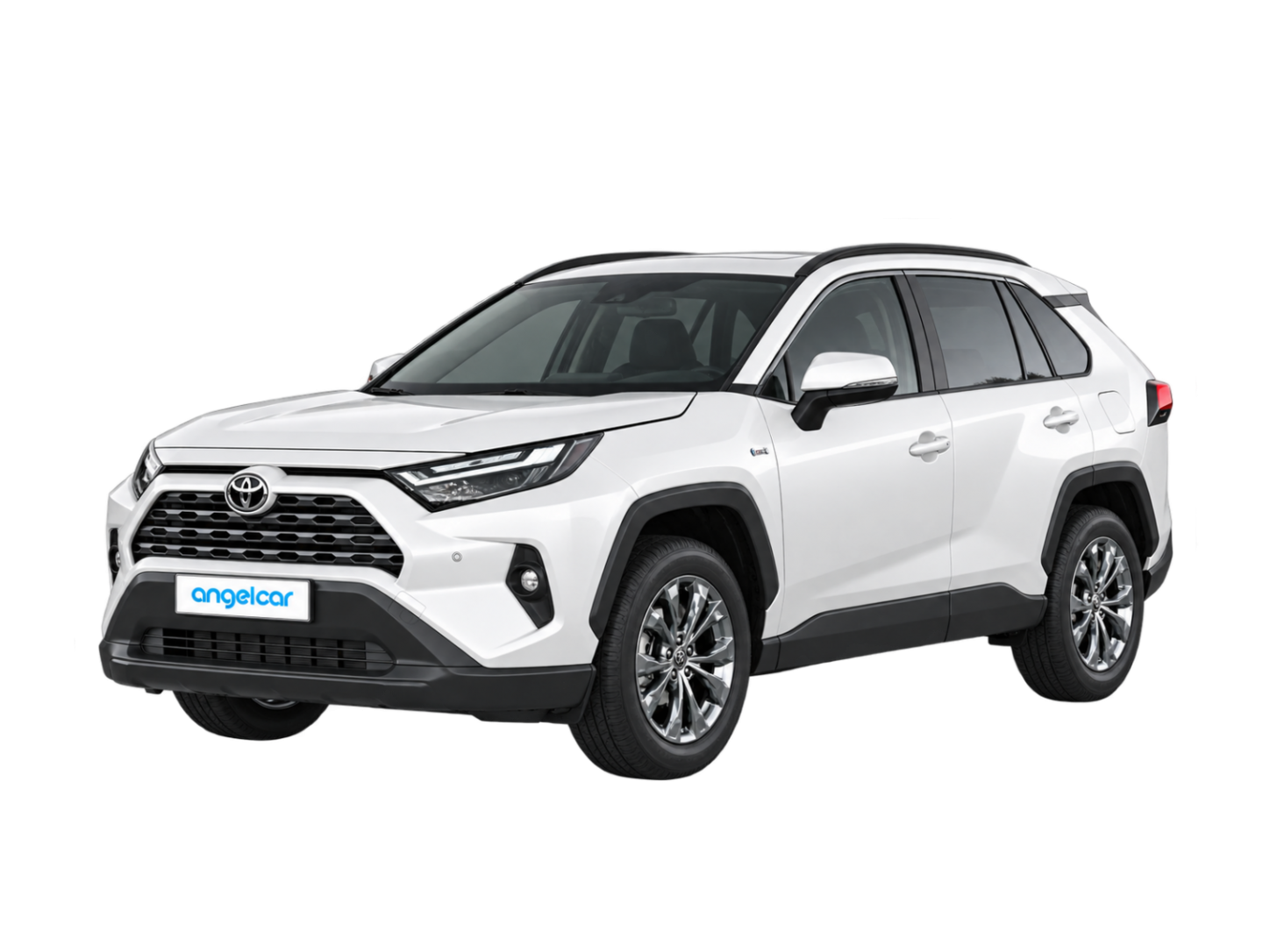 토요타 RAV4 Hybrid 26년