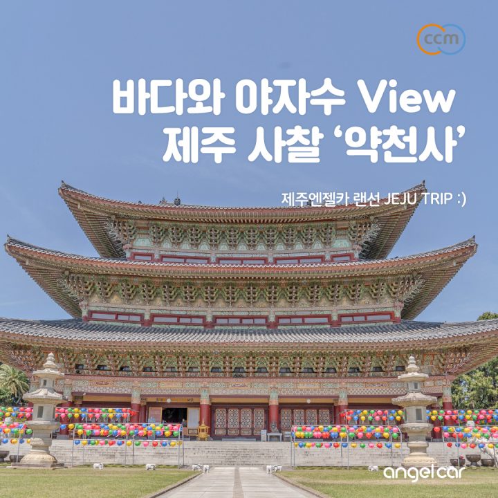제주 사찰을 찾는다면? 동양 최대의 규모를 자랑하는 '약천사' 추천!