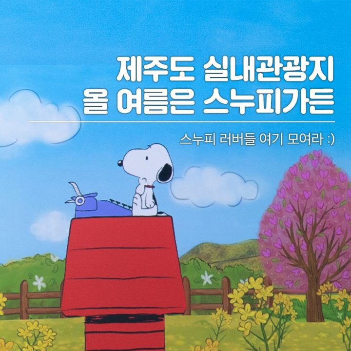 [제주 동쪽 관광지] 스누피가든으로 출발 "일단 오늘 오후는 쉬자"