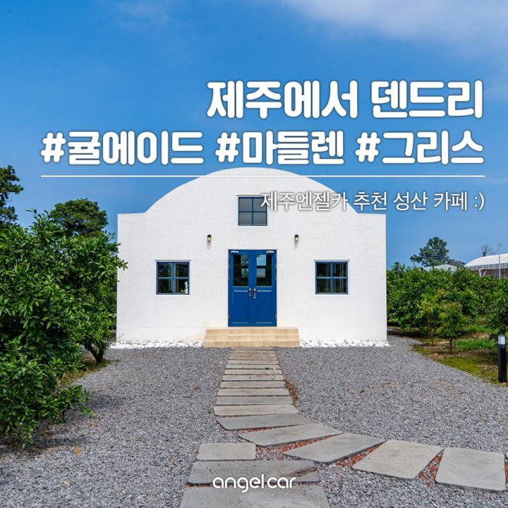 제주 성산읍 카페 #덴드리 #귤에이드 #마들렌