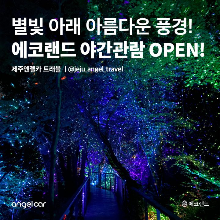 에코랜드 야간관람 OPEN!