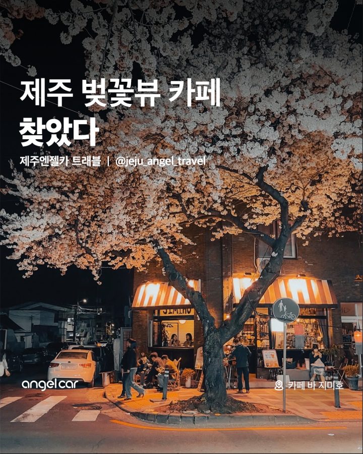 제주 벚꽃뷰 카페 모음