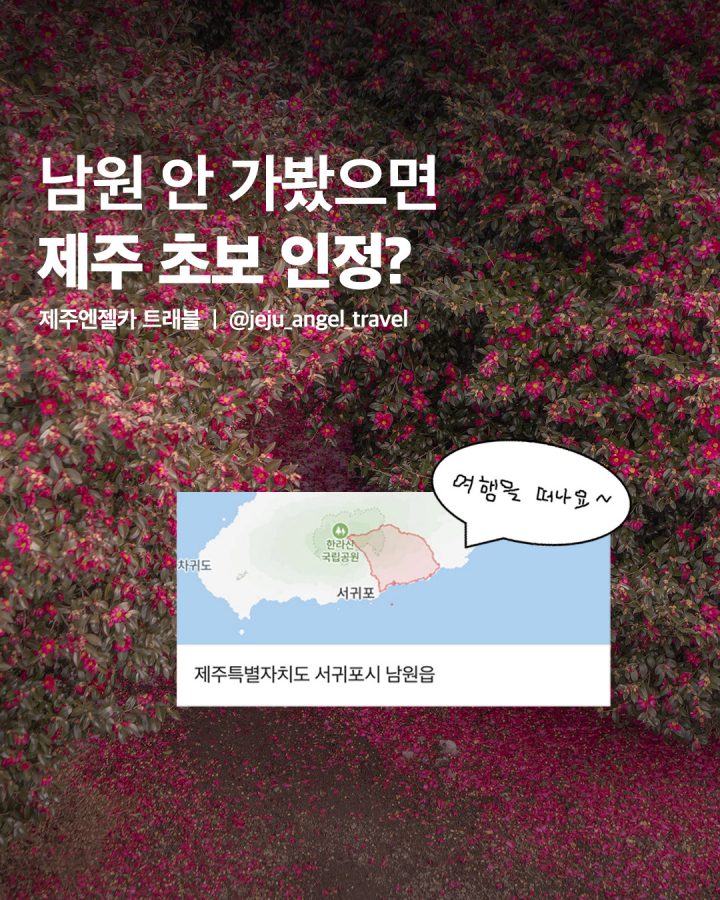 제주도 남원 여행코스