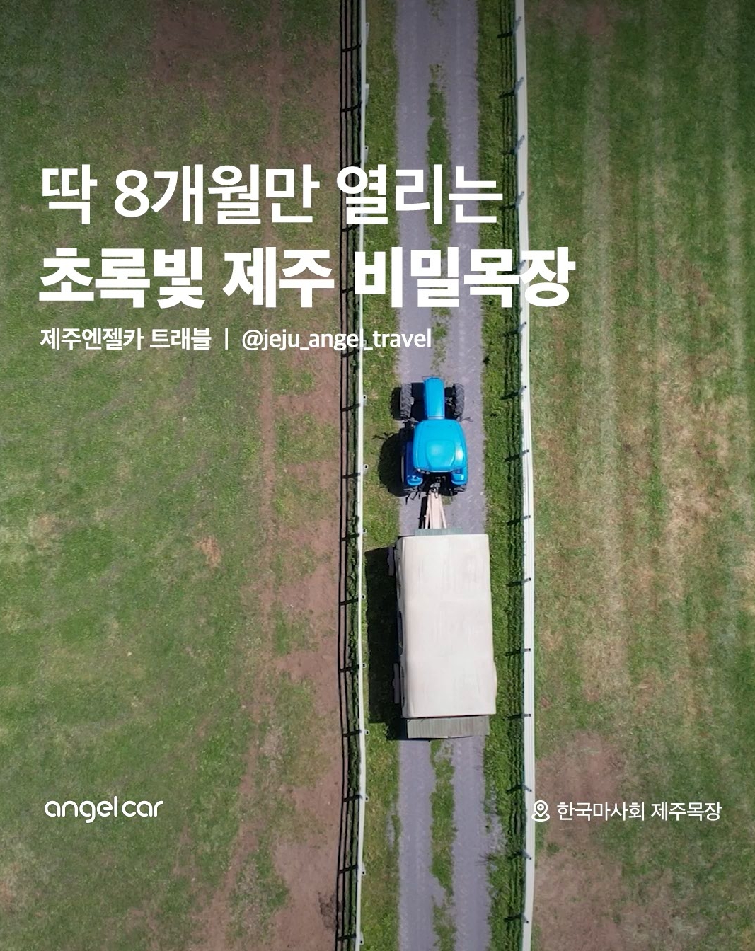 제주도 숨은 여행 코스!