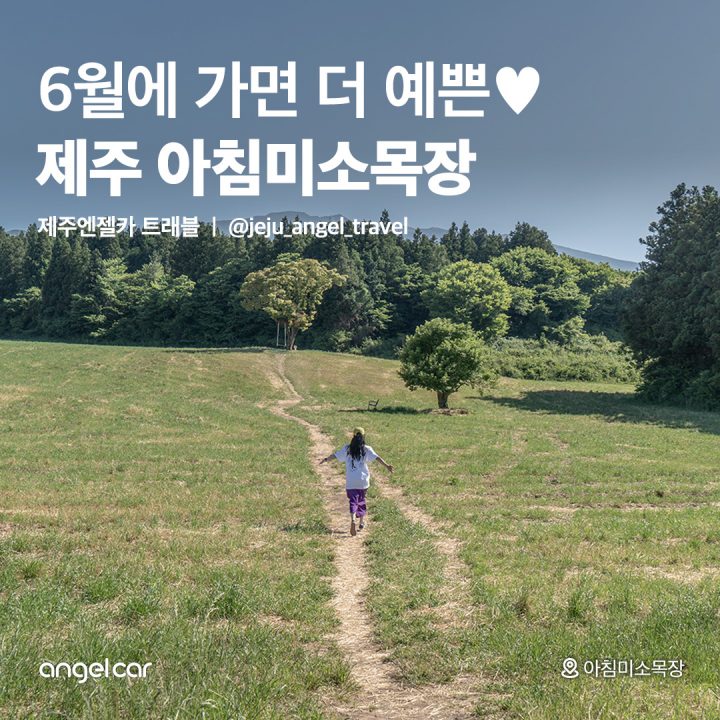 6월 여행코스 추천! 아침미소목장