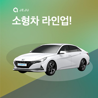제주엔젤카 소형차 라인업