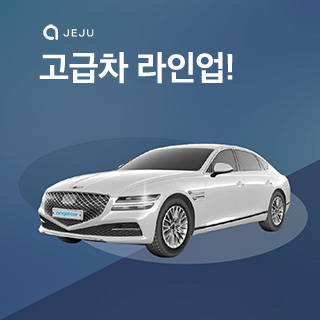 제주엔젤카 고급차 라인업
